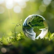 RSE responsabilité sociétale des entreprises sous forme d'une planète écologique dans un environnement vert